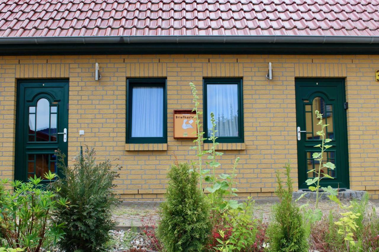 Ferienhaus Zum Findling Goehren  Zewnętrze zdjęcie